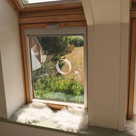 Coc - Entre Terre Et ウィッサン