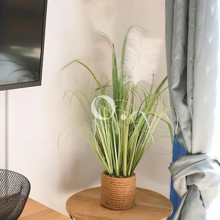 Coc - Entre Terre Et アパート